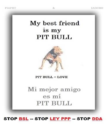 - 00 00 PIT BULL LOVE PITI