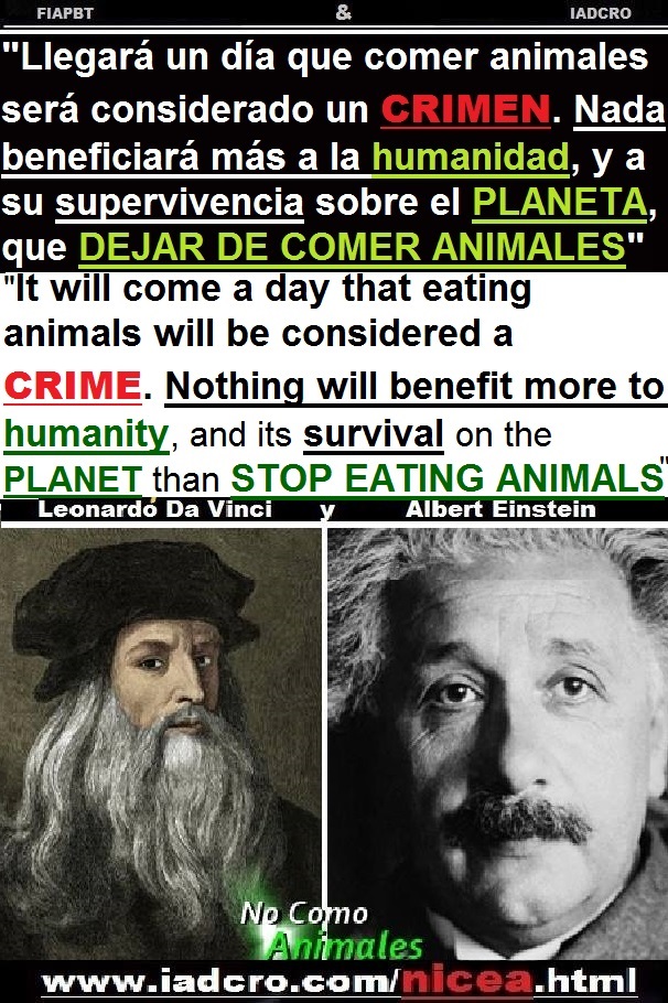 - 00 00 DA VINCI Y EINSTEIN NO COMER CARNE